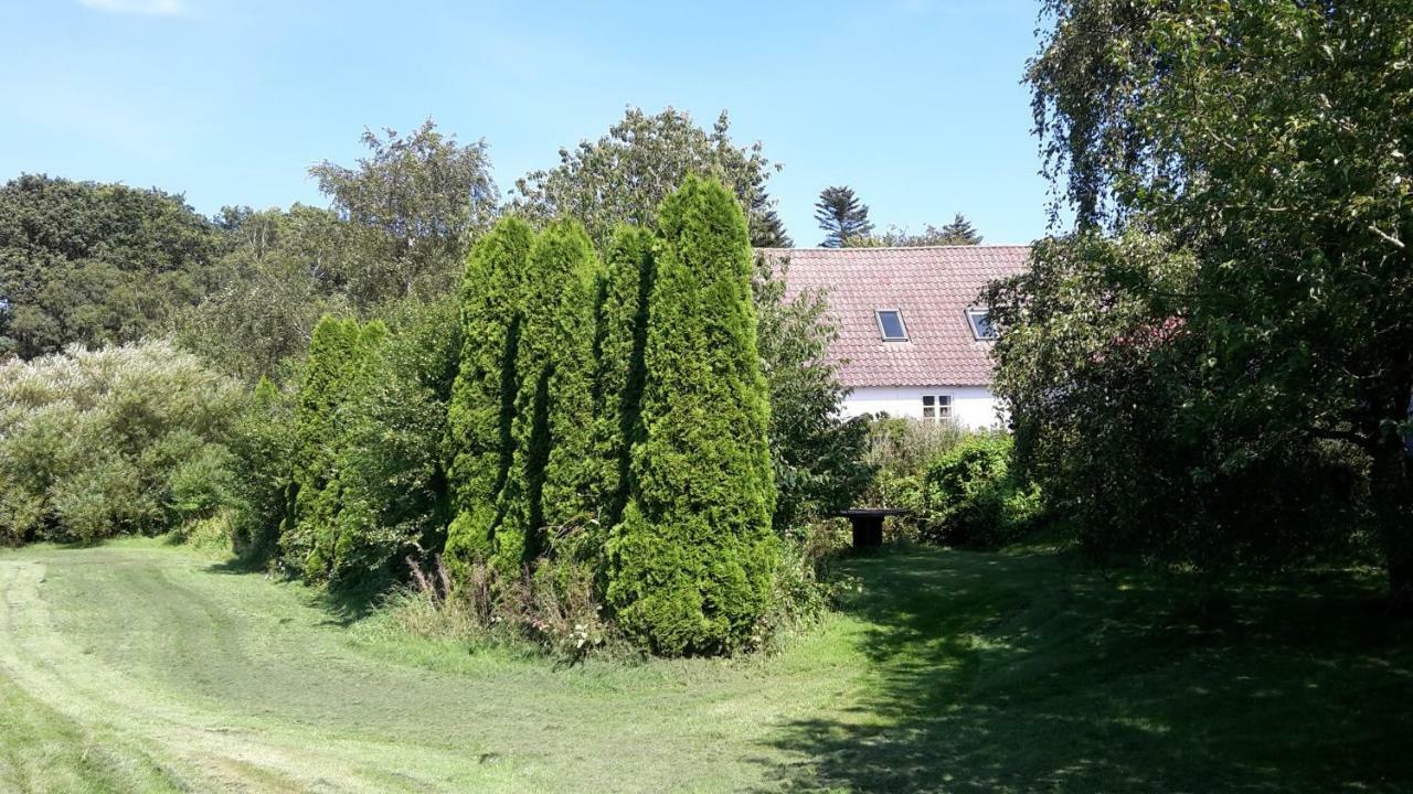Feriestedet Skovly Apartment *